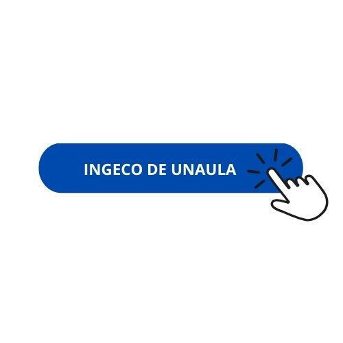 INGECO DE UNAULA