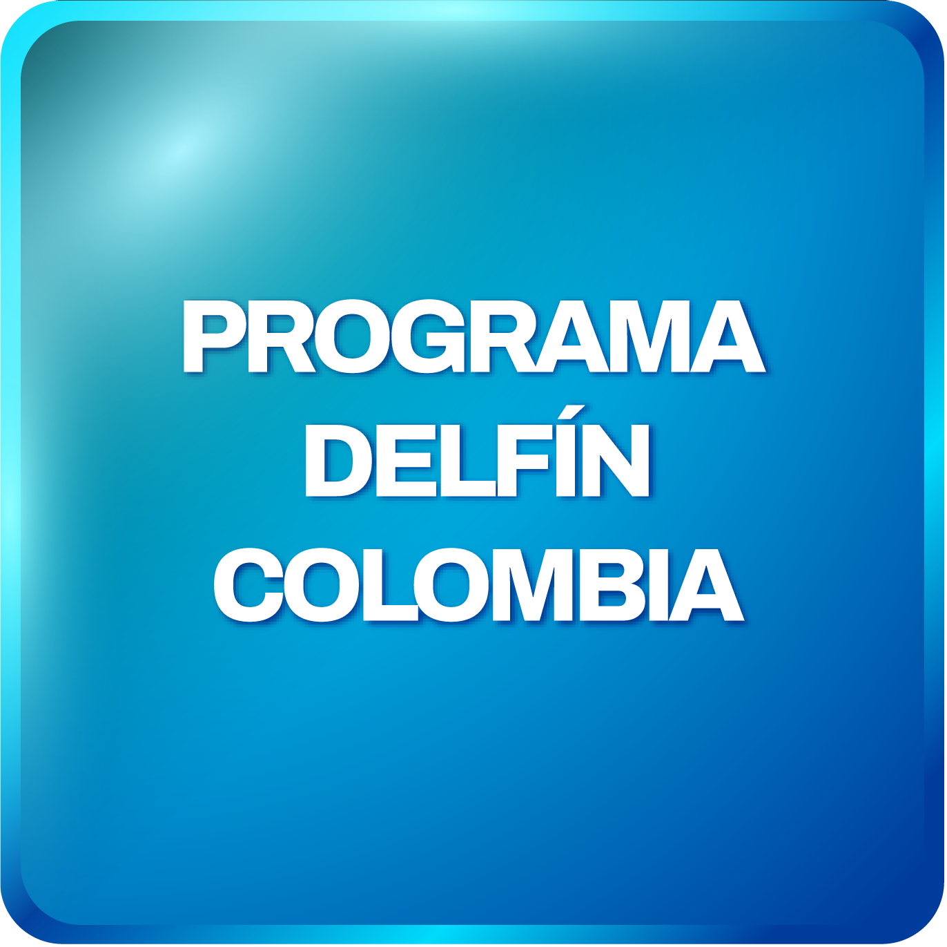 Programa Delfín