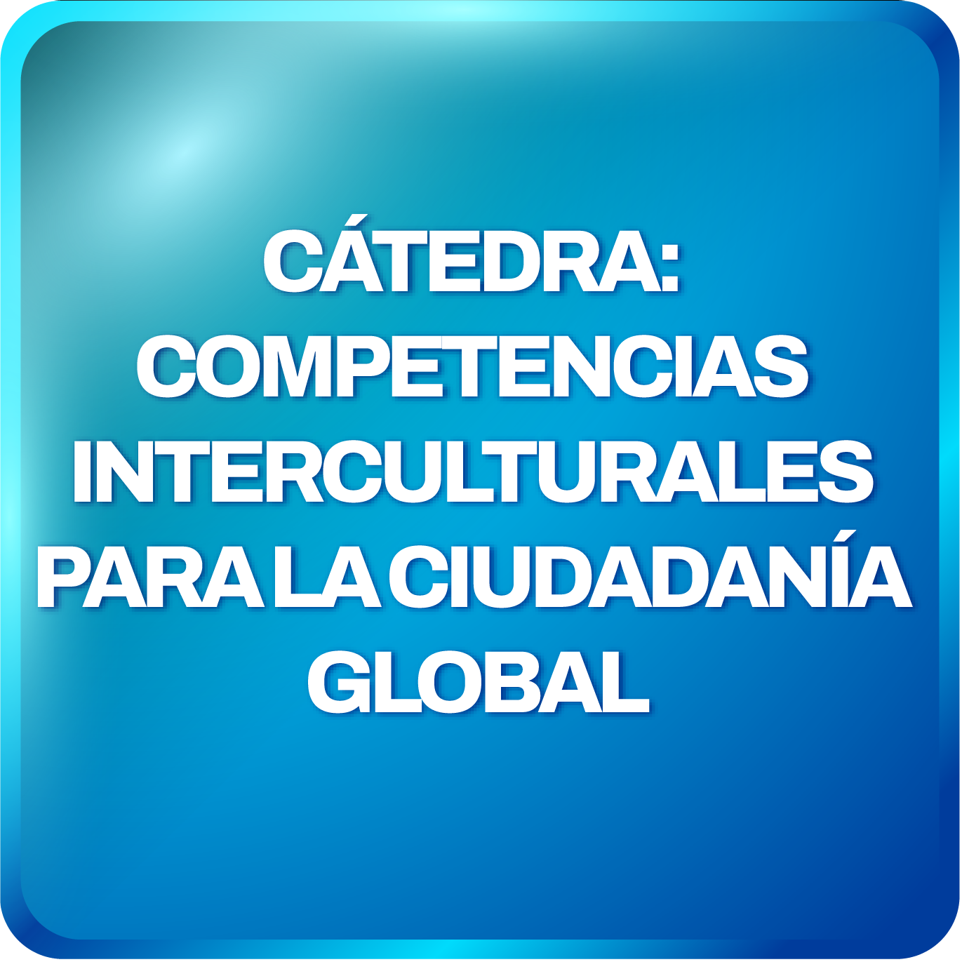 Cátedra: competencias interculturales para la ciudadanía global
