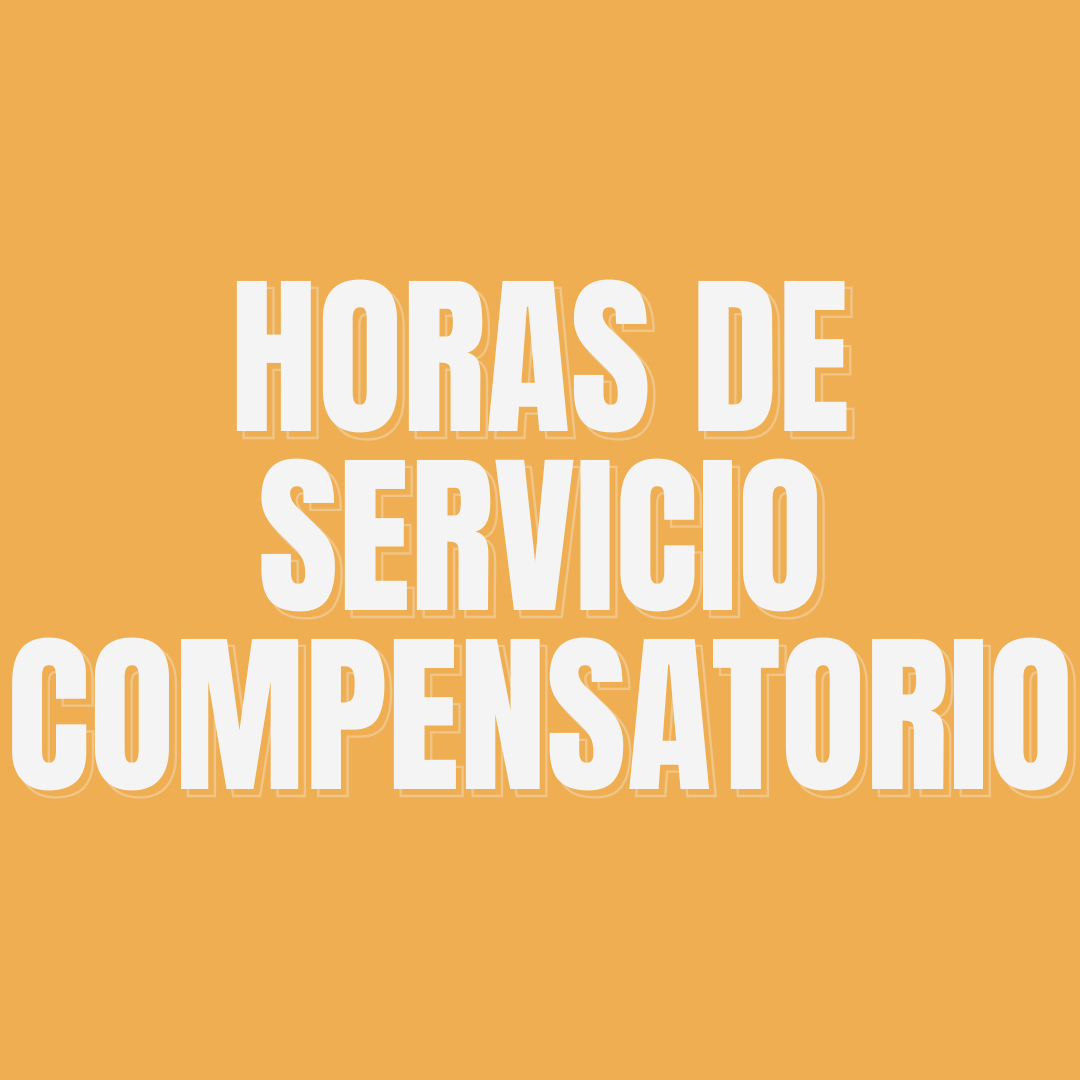Horas de servicio