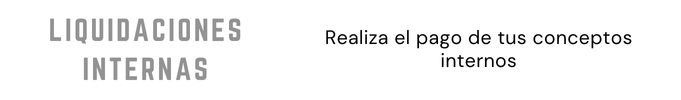 Liquidaciones Internas Docentes