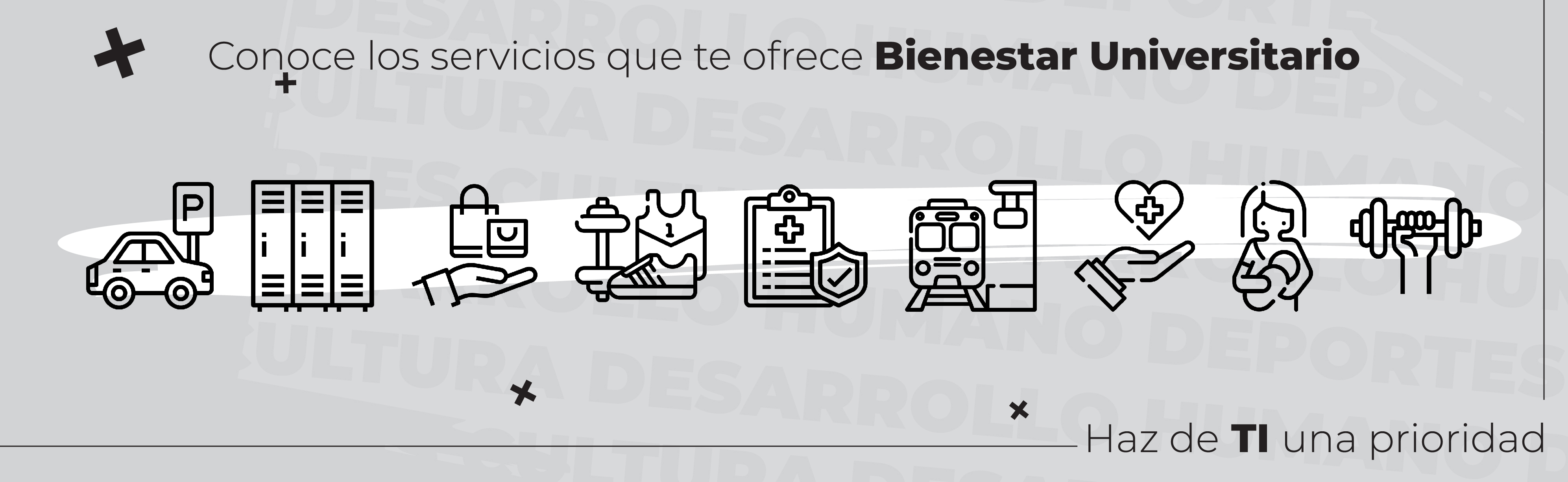 Servicios Bienestar U