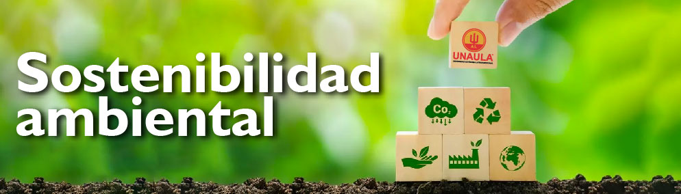 Sostenibilidad ambiental