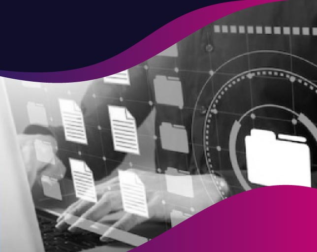 Informacion Exógena