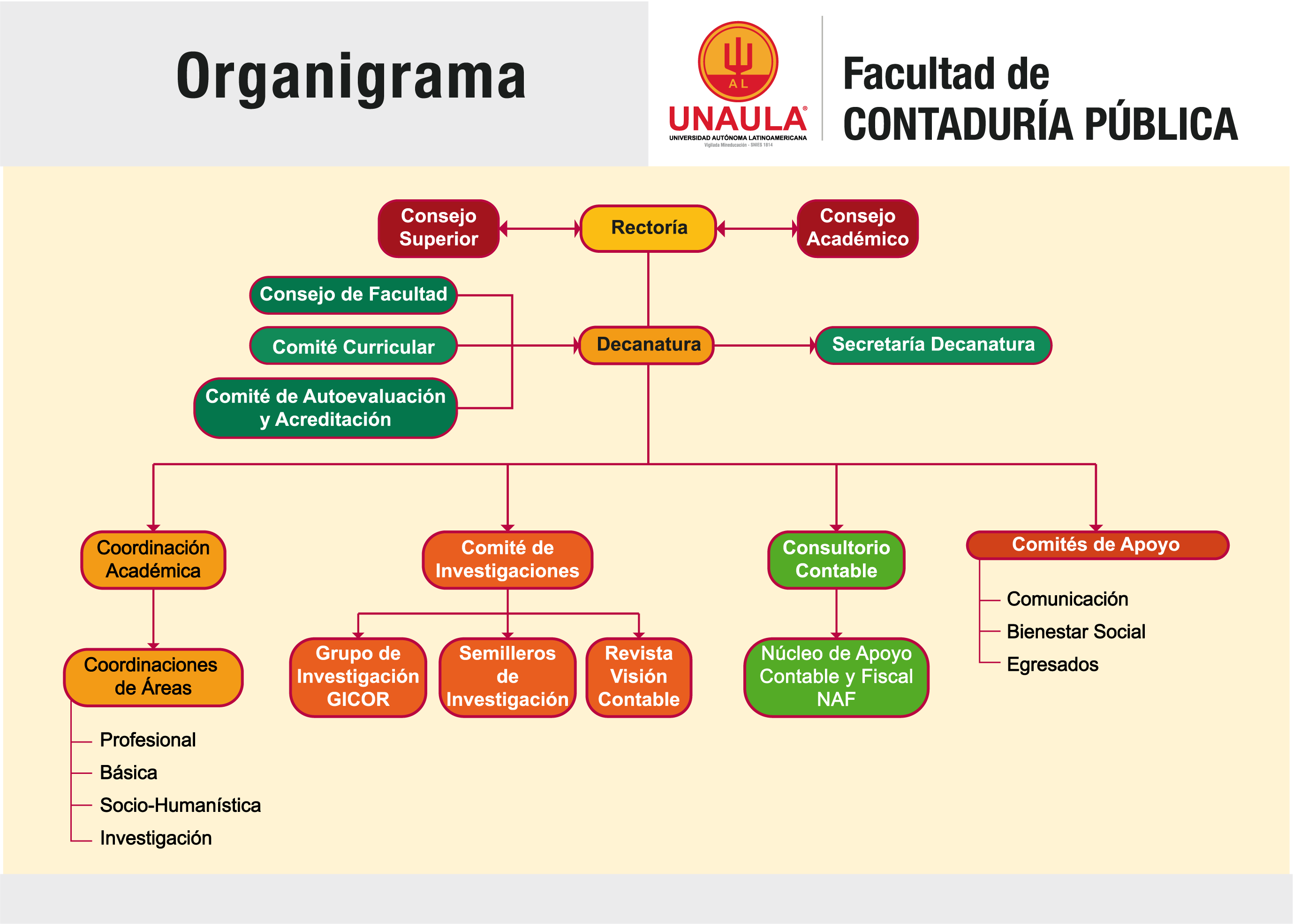 organigrama_contaduria2