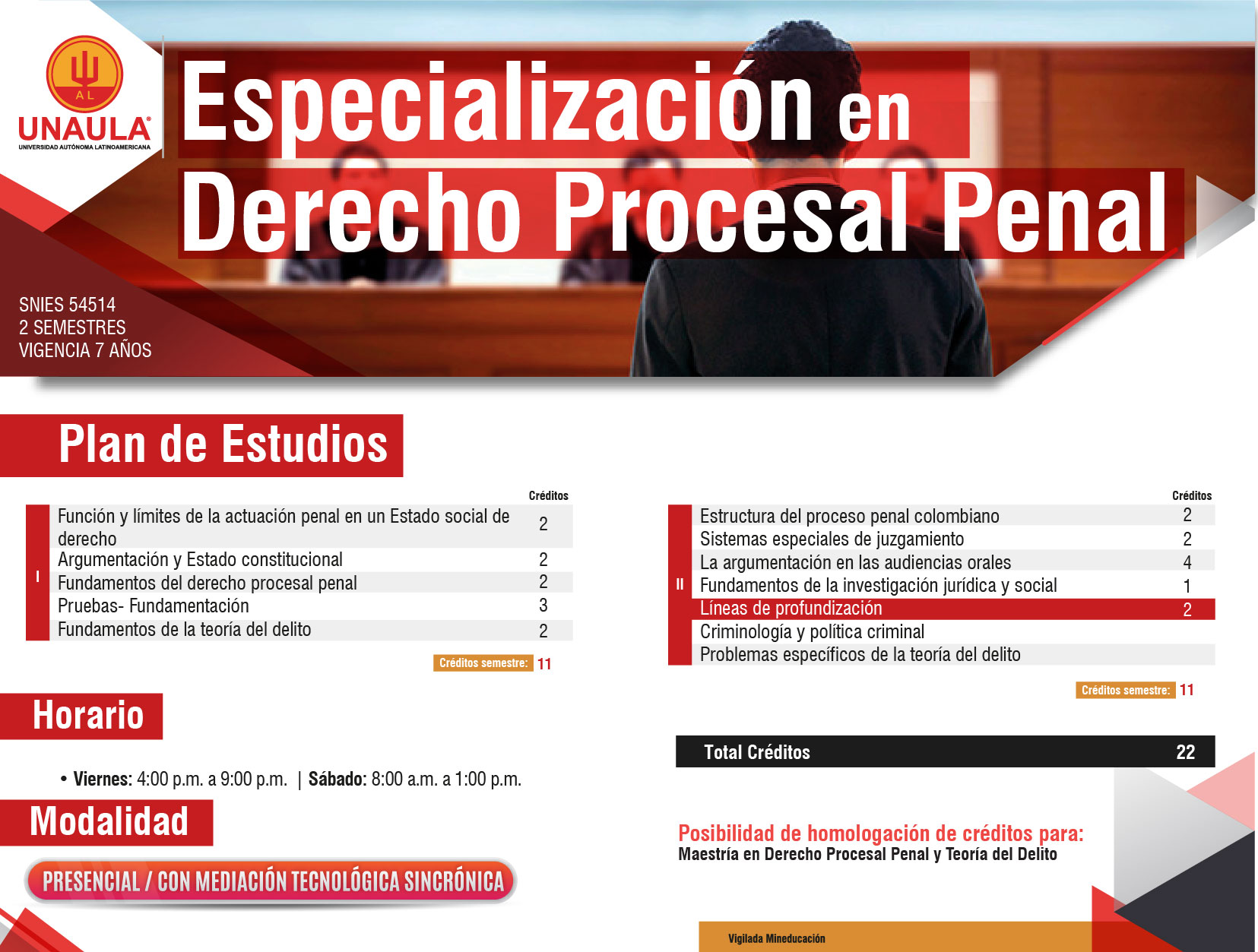  Derecho Procesal Penal