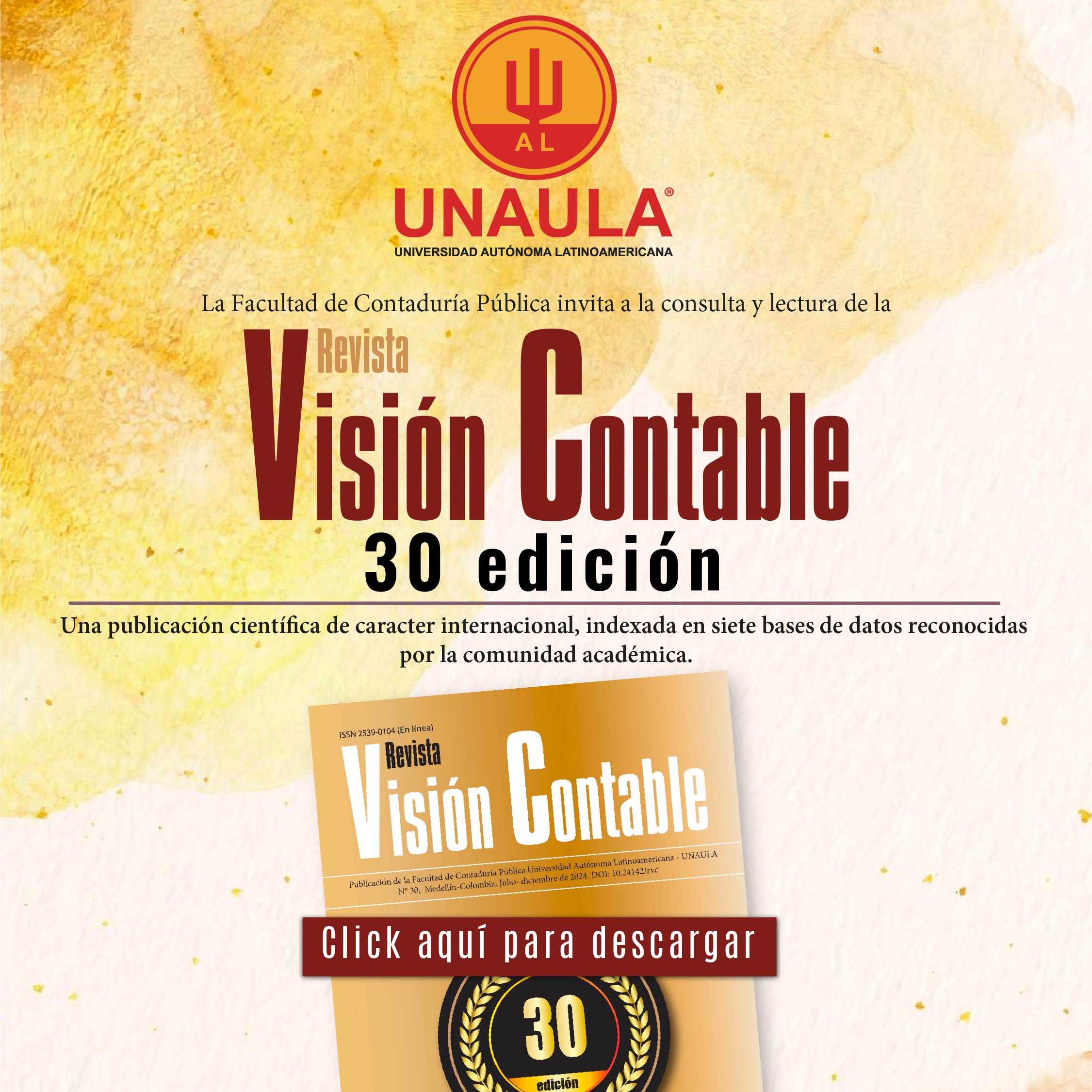 Visión contable