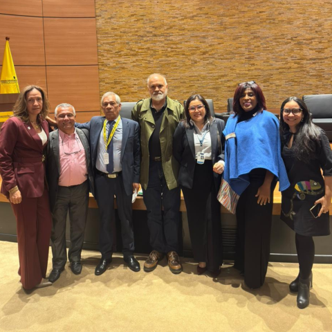 Discusión nacional sobre el control material a la acusación