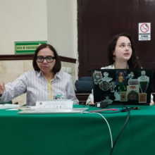 Movilidad LAURA JIMÉNEZ OSPINA